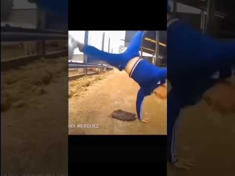 когда я александр мем шортсы