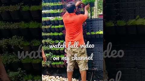 Vertical garden making, low cost