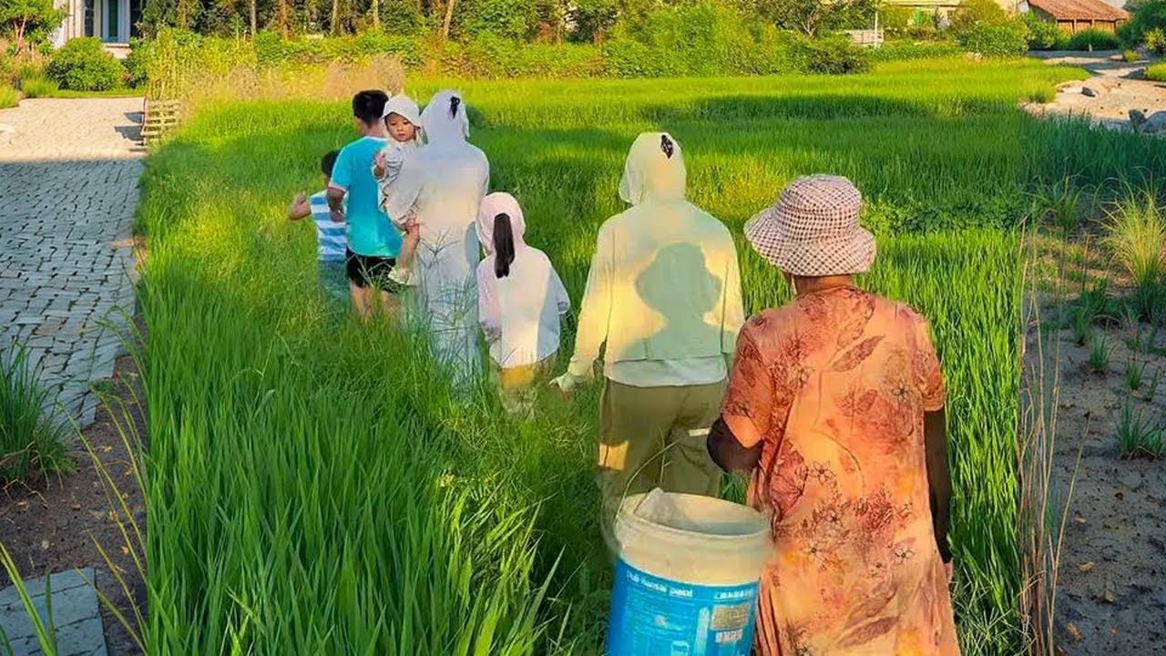 二姐回来家里也热闹了，一起帮老妈摘辣椒，晒干能卖30元一斤 