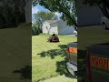 Overgrown property 
