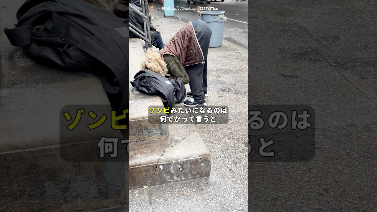 【ゾンビ化するアメリカの若者たち】 #雑学 #海外の反応 #fentanyl #フェンタニル