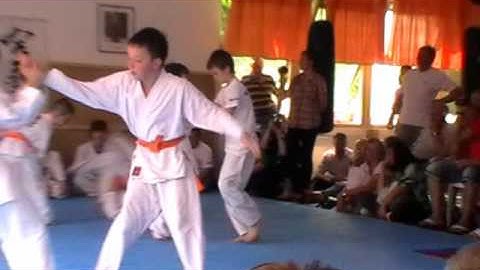 Genkikan -Skusky deti a zaverecna prezentacia 2011