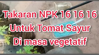 INI TAKARAN PUPUK NPK 16 16 16 UNTUK TOMAT SAYUR DI MASA VEGETATIF #tanamtomat#tanamsayur#fyp#tomat