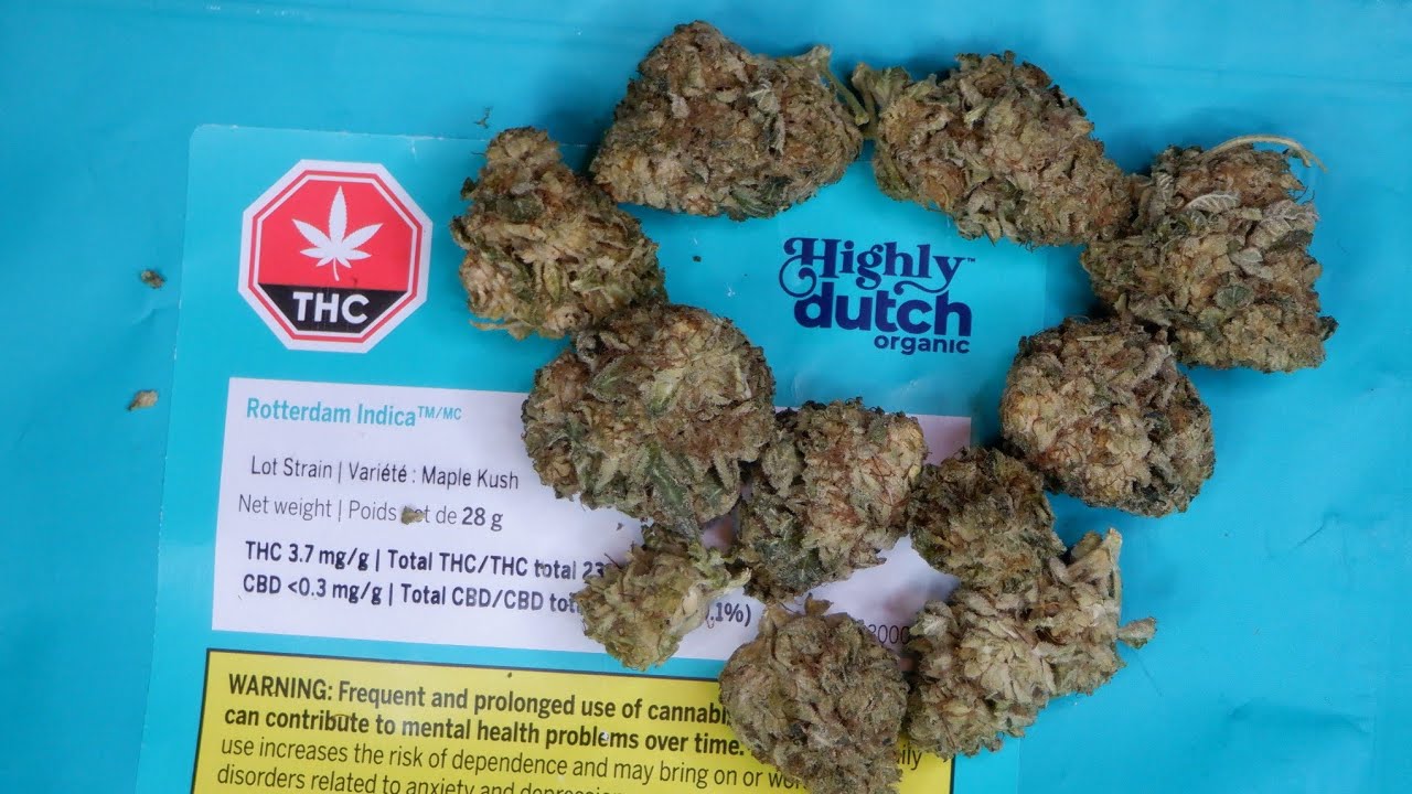Strain Review Rotterdam Indica/Maple Kush (Rotating Indica Flower) By Highly Dutch Organic