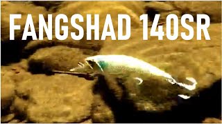 Lure Masterclass: The Realis FANGSHAD 140SR `How to use it`