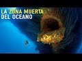 ¿Quién vive en la zona muerta del océano?