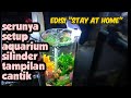 Serunya setup aquarium bulat silinder