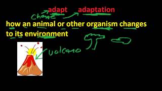 adaptation: Learn ESL Science Vocabulary Quickly!