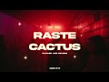 Raste Cactus Slowed And Reverb Raste Cactus Slowed And Reverb