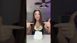 The toilet paper squishy