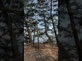 久々のキャンプ⛺️