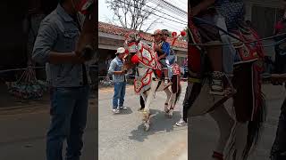 Download Lagu jungjunan kuda renggong #shorts #remix #dj MP3