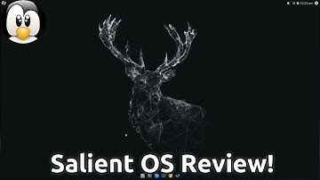 Taking A Look At Salient OS - Arch For Gamers and Creators!