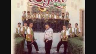 AMOR PAJARITO EL COYOTE Y SU BANDA TIERRA SANTA chords