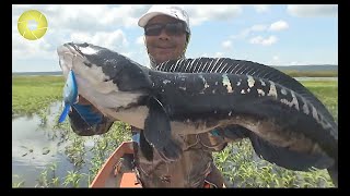 Most unexpected fish caught in an unusual fishing way