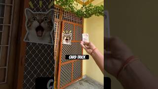 Real Life vs. Movie Magic: The Boomerang Card! 🎬#shorts