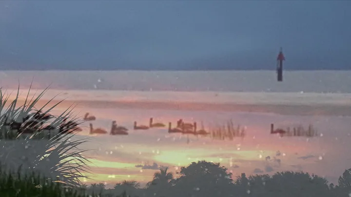 Sea Song