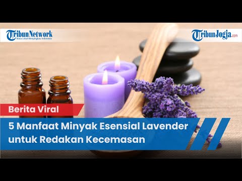 Video: Minyak Esensial Untuk Mabuk Yang Didukung Oleh Penelitian