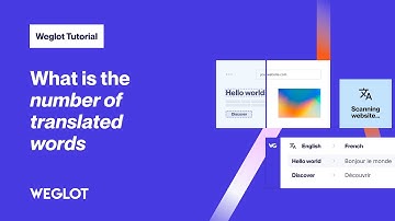 What is the Number of Translated Words and How is it Calculated? [Weglot tutorial - 2024]