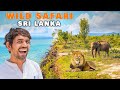 Sri lanka mein jungle safari  vlog day 3