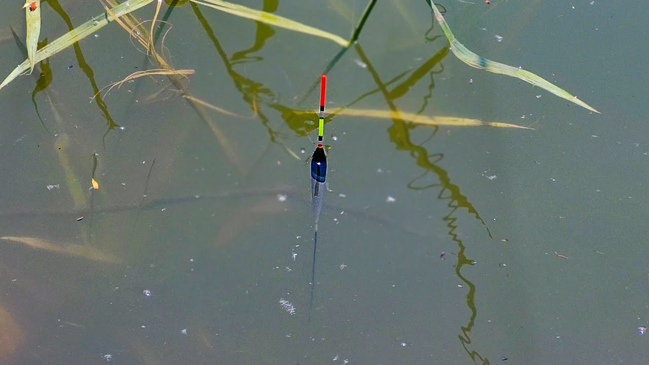 Ribolov BABUŠKE i DEVERIKE Na HLEB - Pecanje Na Plovak Na Prelepom Jezeru