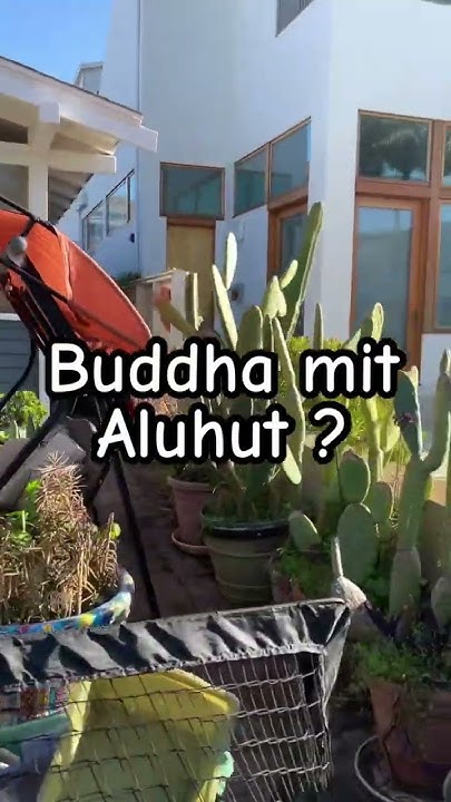 Hääää??! - YouTube
