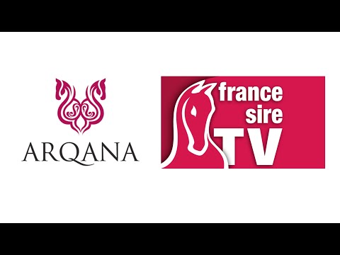 Lot 1 à 200 - Vente Mixte de Février 2025