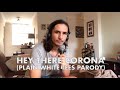 Hey There Corona (Plain White Tees Parody)