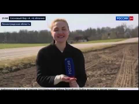 "Вести 24 Санкт-Петербург" от 20.04.21г. #АртёмКрылов #АртемКрылов #ArtemKrylov