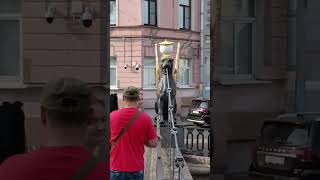 #хочу #жить #жизнь #счастье #питер #рекомендации #travel #ютуб