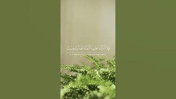 ومن آياته أنك ترى الأرض خاشعة | من سورة فصلت ماهر المعيقلي