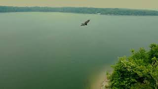 Goose Island flyover