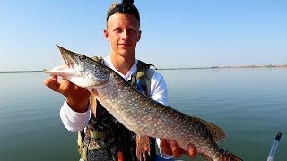 ВОТ ЭТО ОНА ДАВИТ!!! Ловля ЩУКИ и СУДАКА  на джиг/ Рыбалка на спиннинг! Pike Fishing.