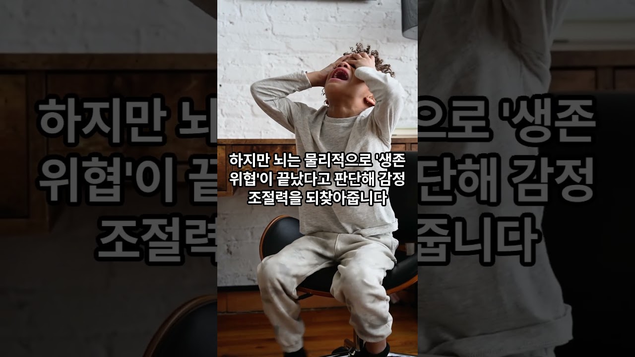 직장에서 스트레스 받을 때, 이렇게 해보세요 #직장인스트레스