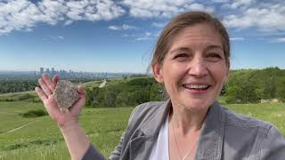 Welcome To Earth Explained