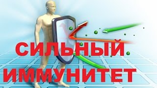 Главный секрет сильного иммунитета. Профилактика и быстрое лечение простуды и гриппа Главный секрет сильного иммунитета. Профилактика и быстрое лечение простуды и гриппа