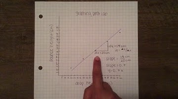 Graphing data lab conclusion video