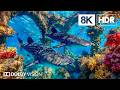 Magnificent Deep Marine Creatures in 8K HDR | Dolby Vision™