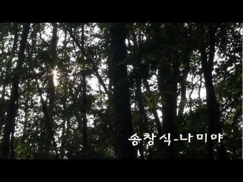 송창식- 나미야