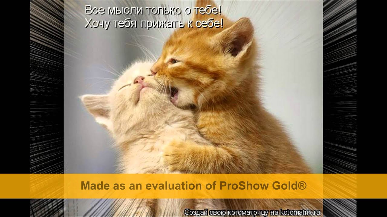 всё мои мысли только о тебе. мысли о тебе согревают меня. все мысли только о тебе. мысли только о тебе нравишься ремикс. дмитрий маликов обложки альбомов.