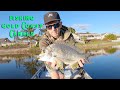 Gold Coast Canal Fishing Winter 2021 | What’s on the chew ??