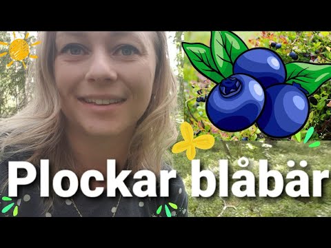 Video: De Helande Egenskaperna Hos Blåbär