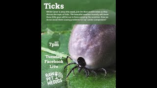 Ticks | Raw Pet Medics