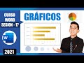 Como crear Gráficos Estadísticos en WORD | 17