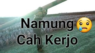 Namung Cah Kerjo Rek, Rekoso Ra Dadi Masalah