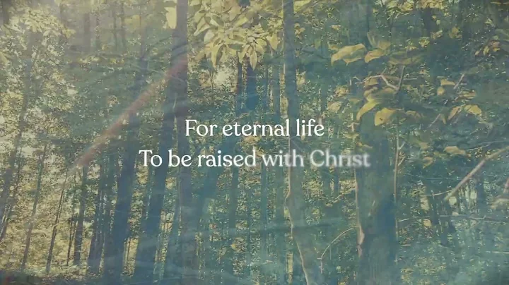 Christy Nockels - Abide [Official Lyric Video]