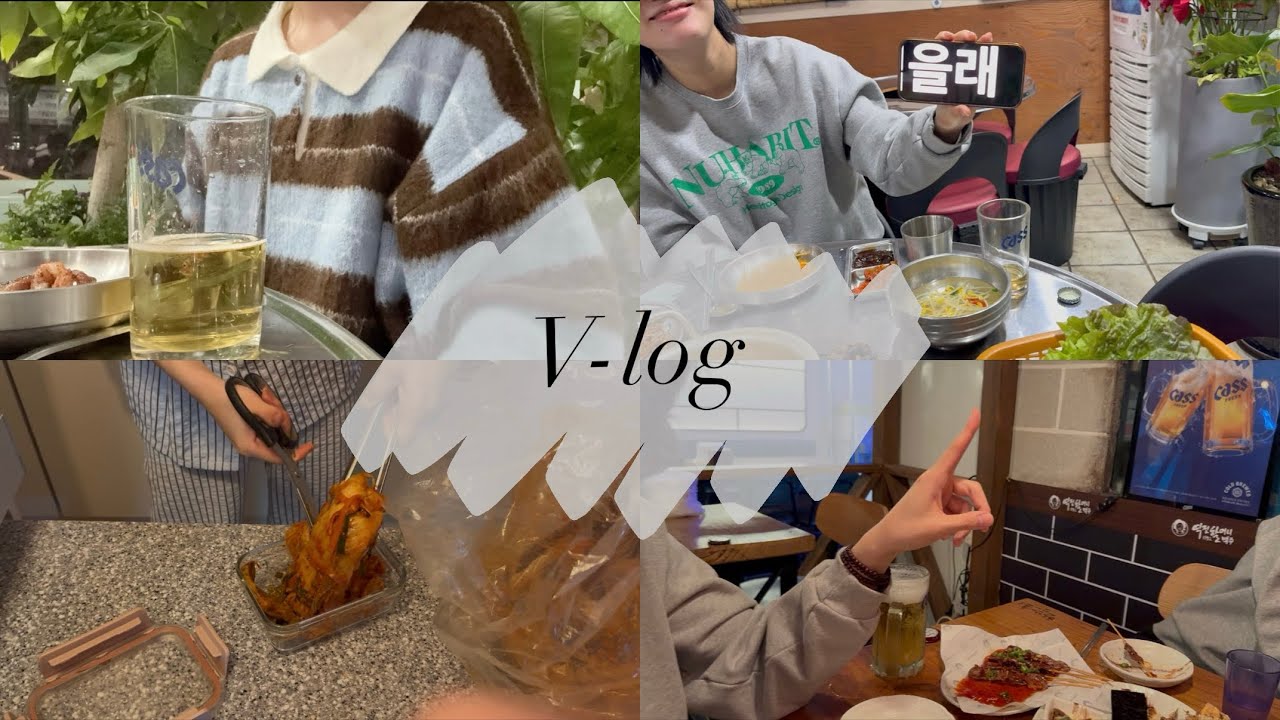 v-log#9 | 5일의 설 연휴? 영상 안 찍고는 못배기지☠️