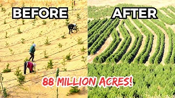 China turned 88 million acres desert into forests