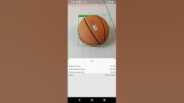 Truly realtime object detection app in Flutter