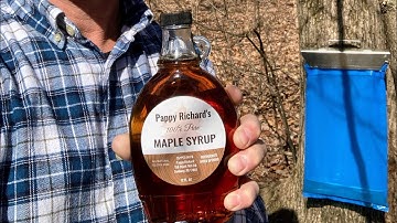 How to Make Maple Syrup at Home: Part 1 - Sap Collection Containers